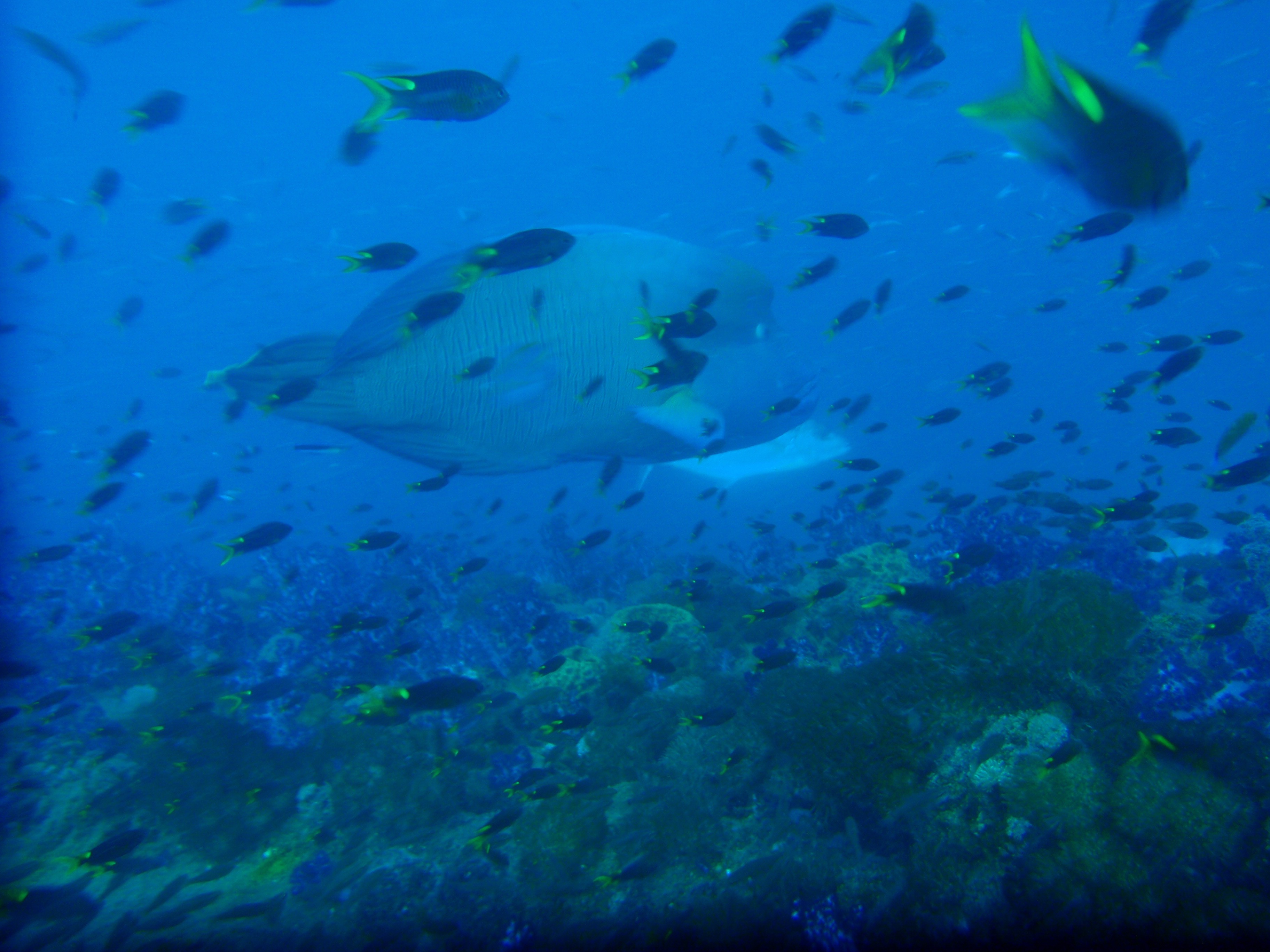 Play Quiz 1 Marine Biology quiz study these multiple choice test